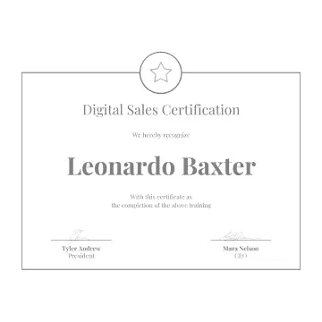 Organic seo consultant